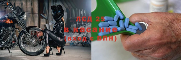 PSILOCYBIN Балабаново