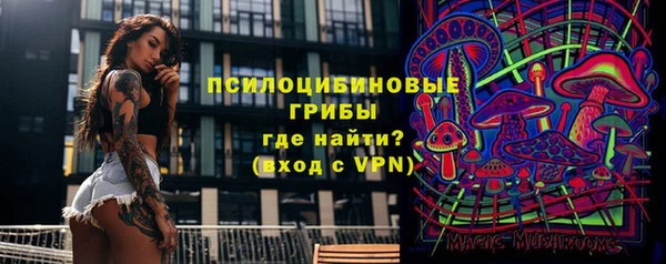 PSILOCYBIN Балабаново