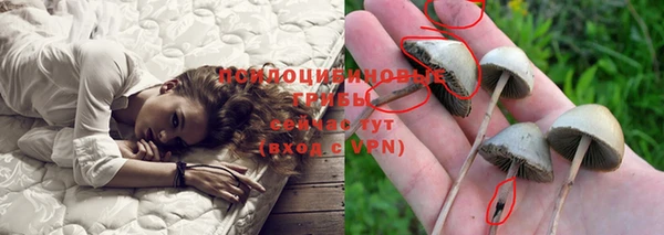 трава Балахна